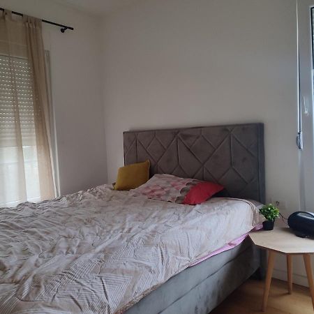 Ribnica Apartment Podgorica Exterior photo
